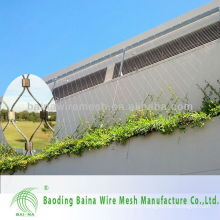 Stainless Steel Architectural Surface Plant Climbing Net